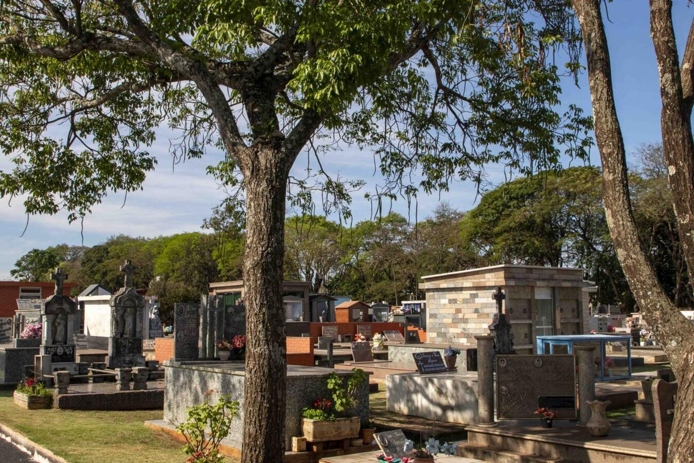 Dia de Finados: obras devem ser finalizadas até a sexta-feira (28)