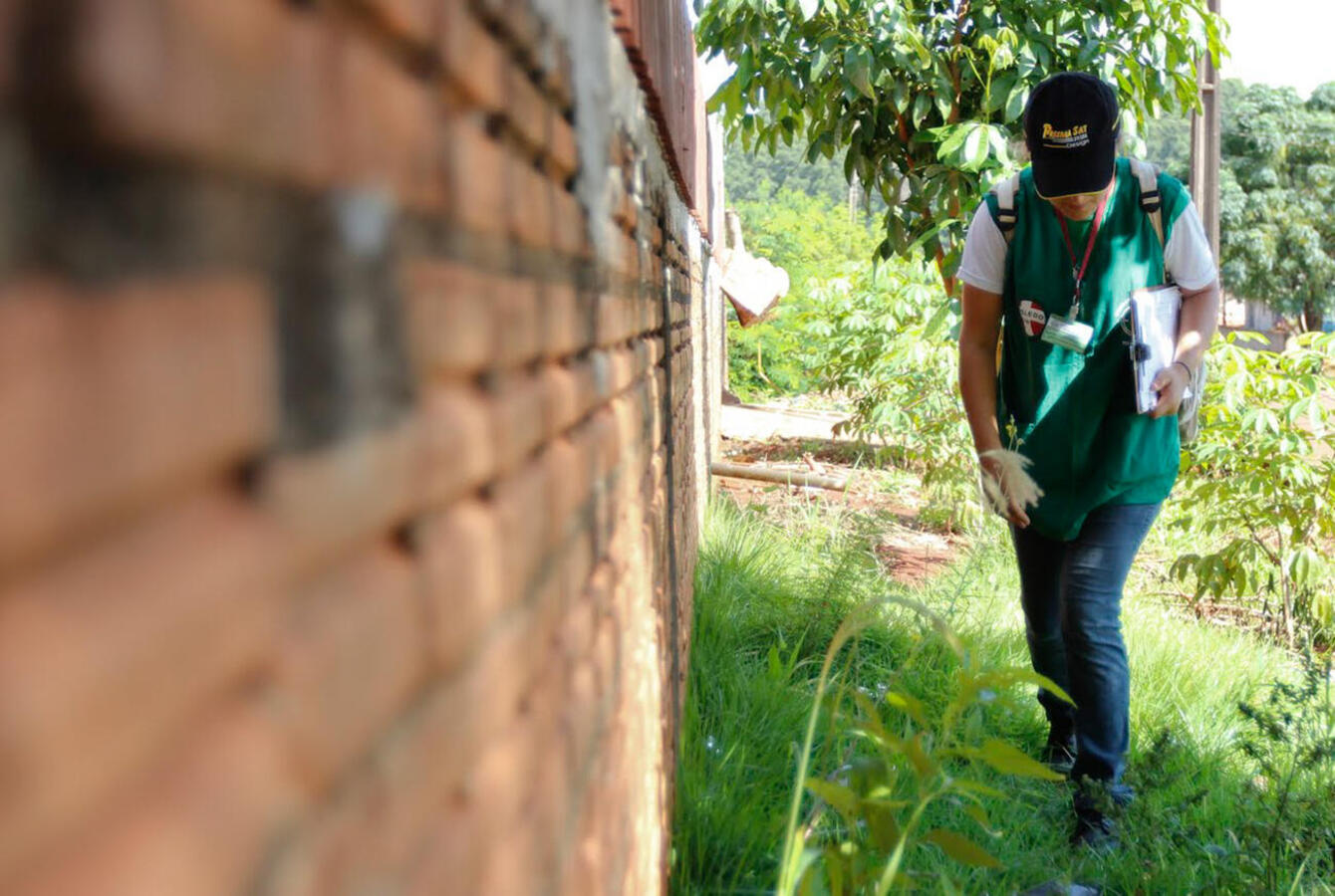 O resultado aponta para médio risco de epidemia o que, segundo a coordenação do setor, é preocupante