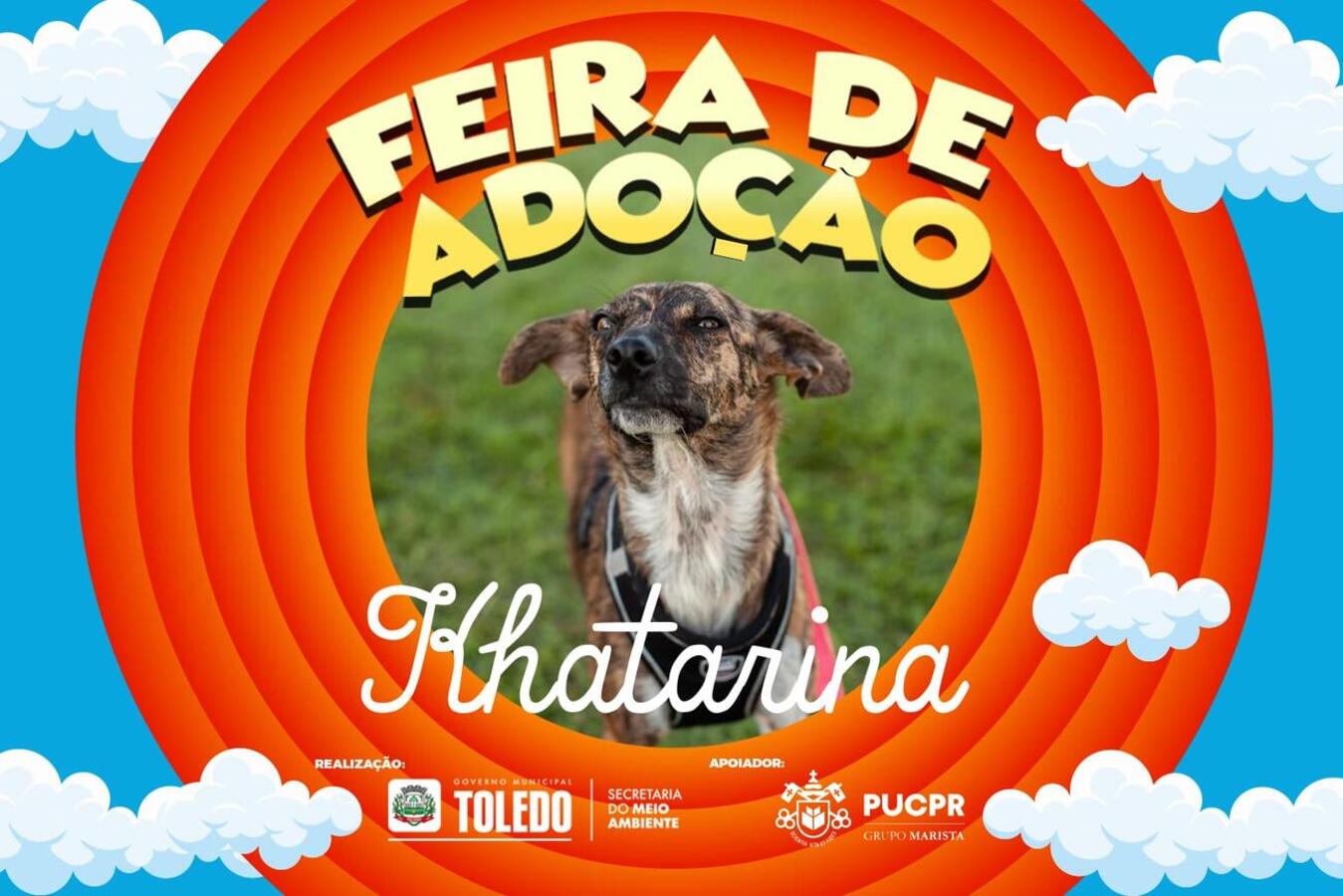 A feira acontece no Parque Ecológico Diva Paim Barth a partir das 15h