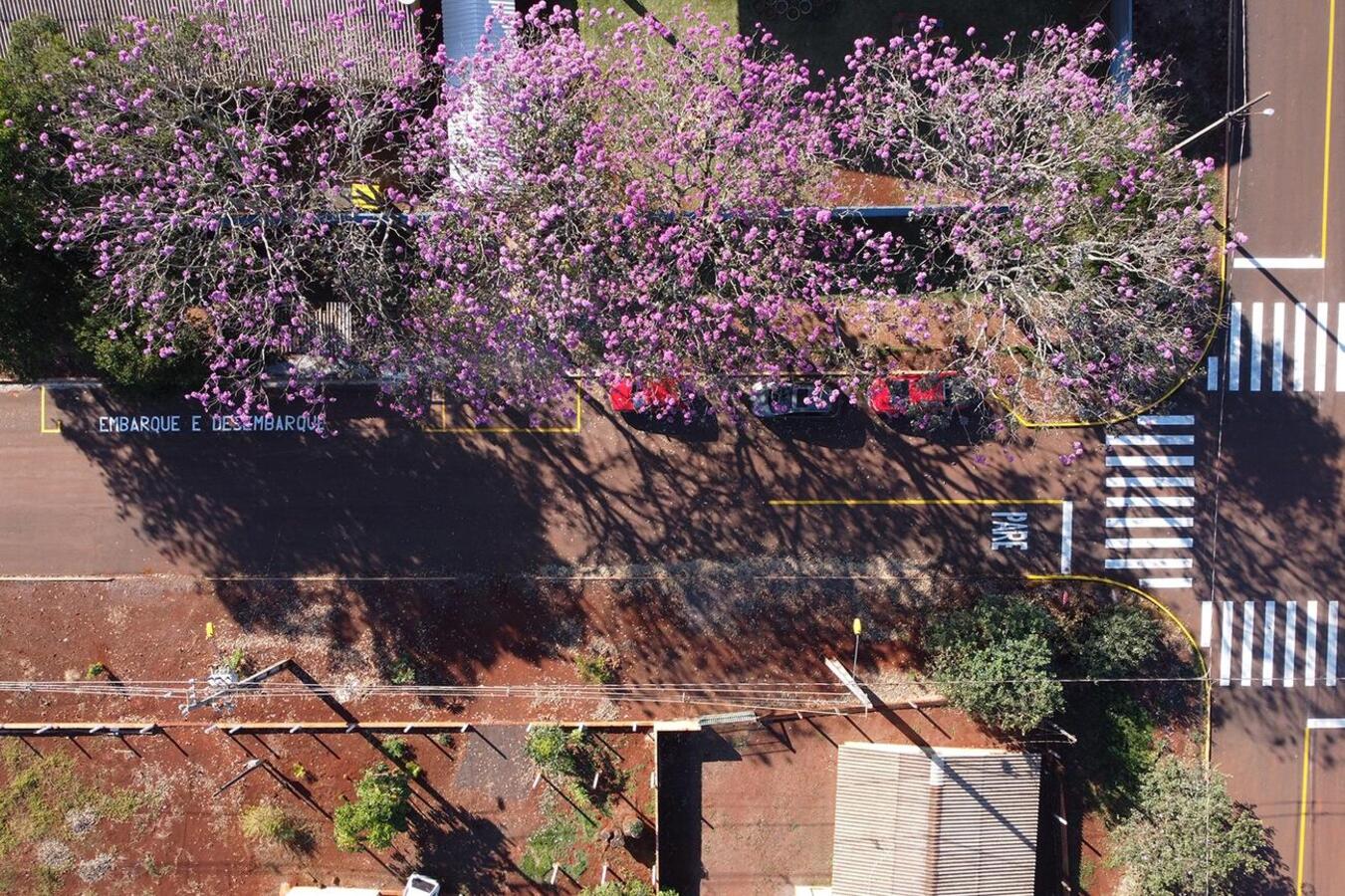 Obras de reurbanização de Ouro Preto serão entregues no domingo