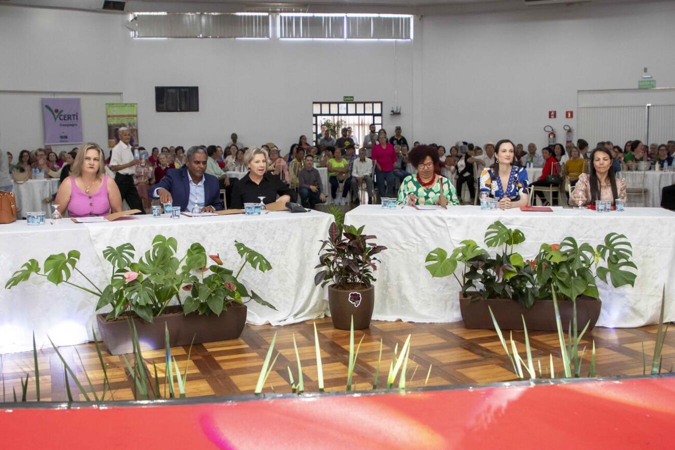 Casal representará Toledo no Miss e Mister 3ª Idade Amop a ser realizado na cidade de Maripá