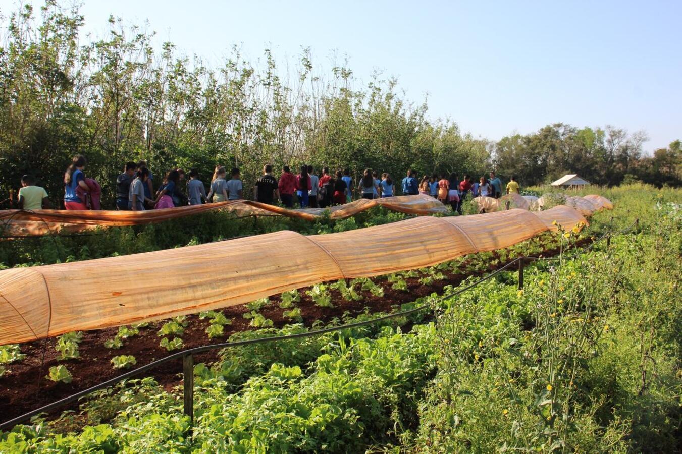 A Oficina de Introdução à Agroecologia foi ofertada na Escola Waldyr Luiz Becker nas semanas do mês de agosto deste ano