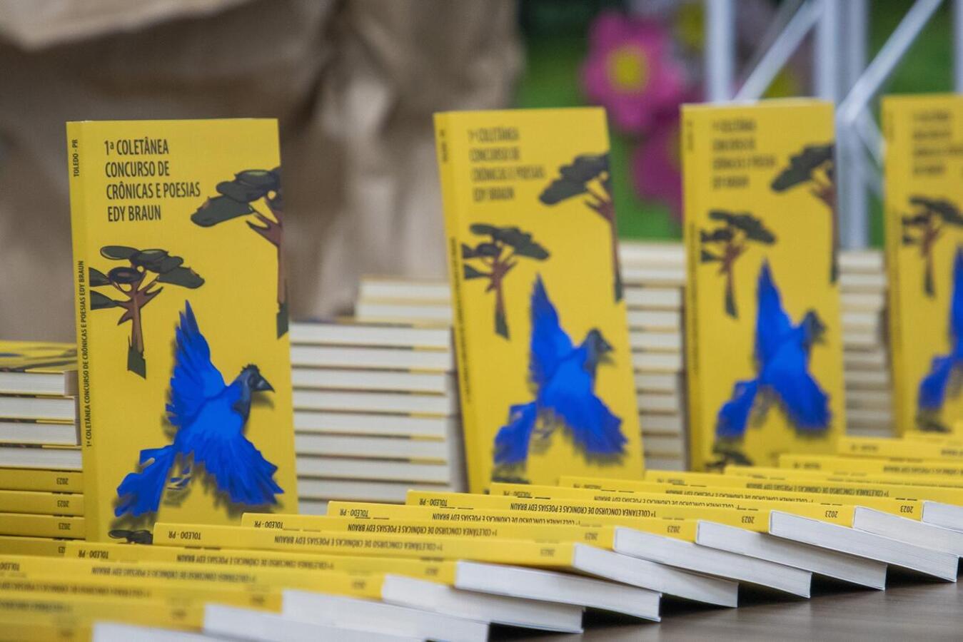 Atividades do evento atraíram quase 5.000 pessoas; algumas cadastraram-se na Biblioteca Pública, que coleciona números admiráveis desde que foi reinaugurada