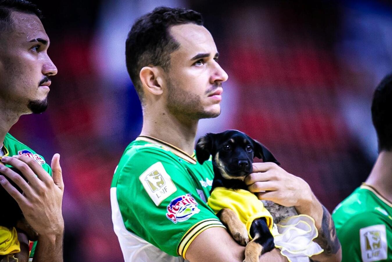 Ação busca conscientizar sobre adoção responsável de animais