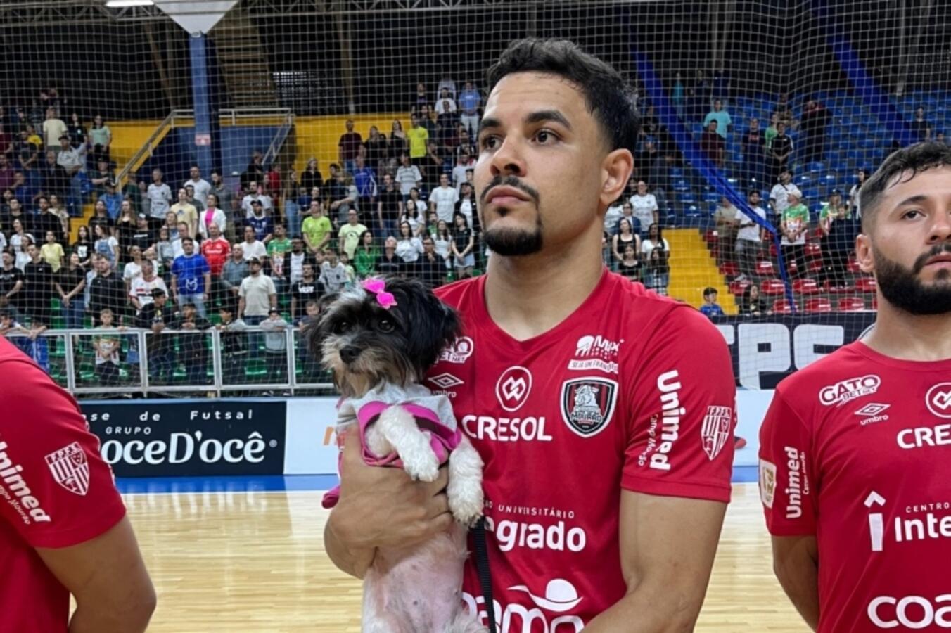 Ação busca conscientizar sobre adoção responsável de animais