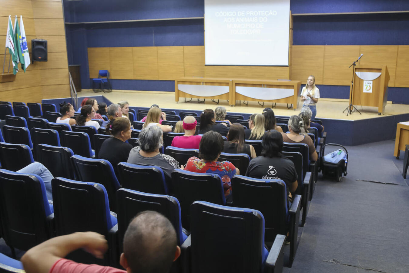 Cuidadores e cuidadoras passam por capacitação em relação aos cuidados com animais