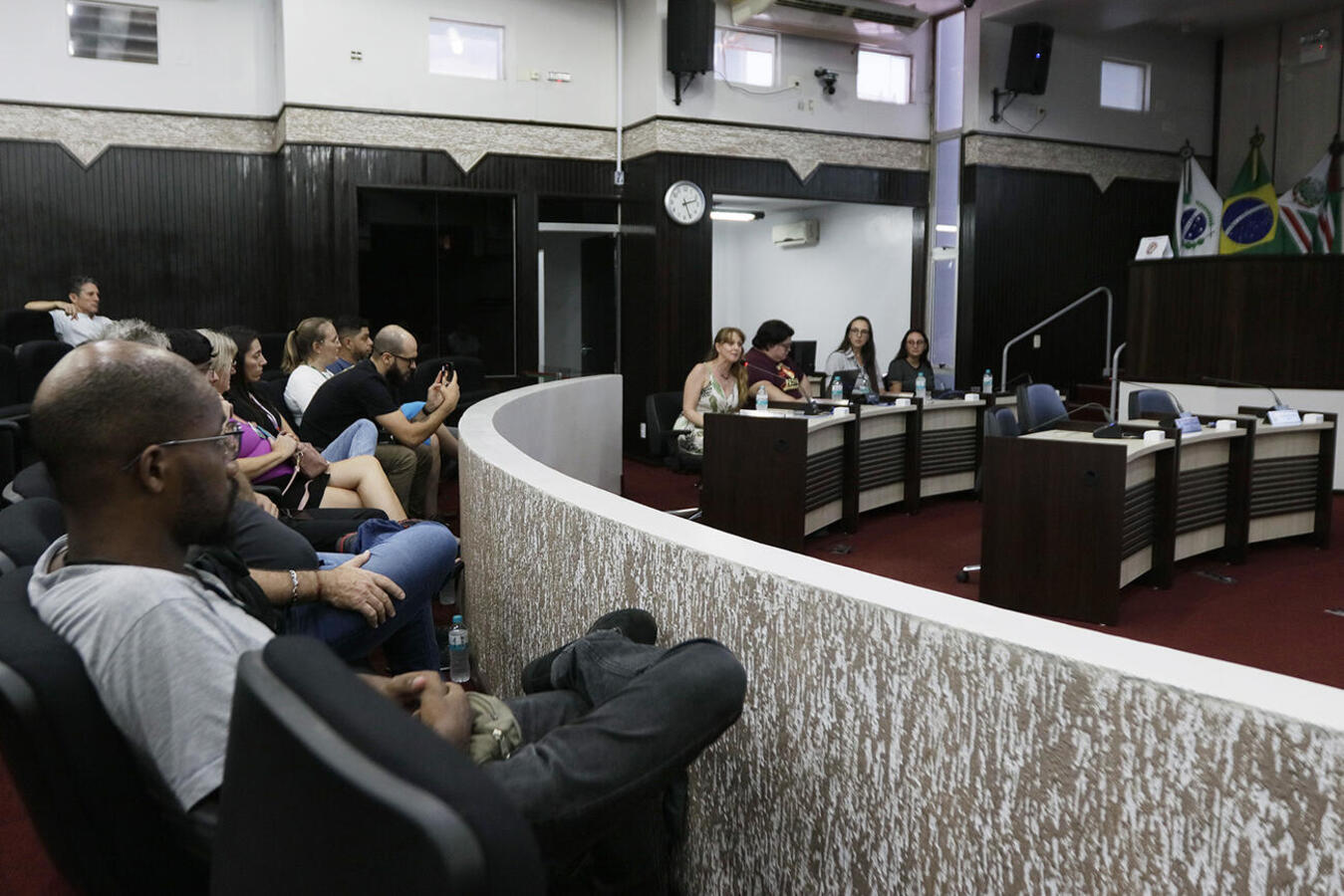 Avanços históricos da Cultura são apresentadas em audiência pública na Câmara