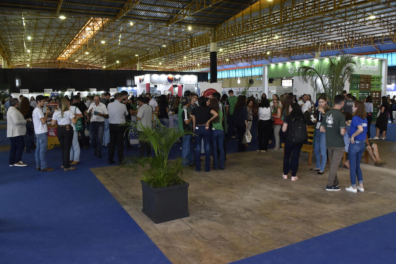 INOVAMEAT 2024 apresenta tendências em tecnologia para a produção de proteína animal