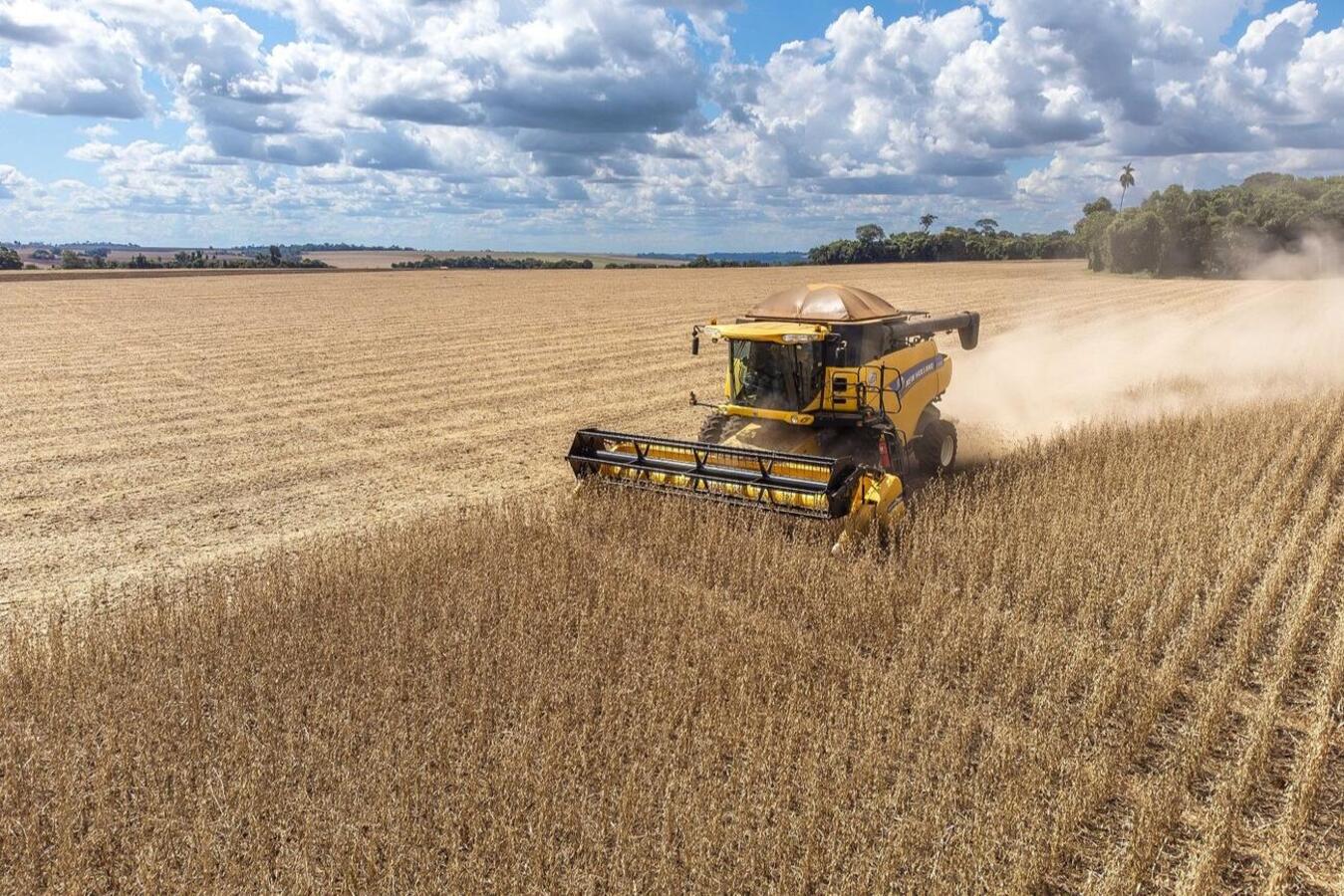 Dados divulgados nesta quarta (19) pela Seab apontam que Valor Bruto da Produção Agropecuária (VBP) do município em 2023 foi de R$ 4.592.013.664,21