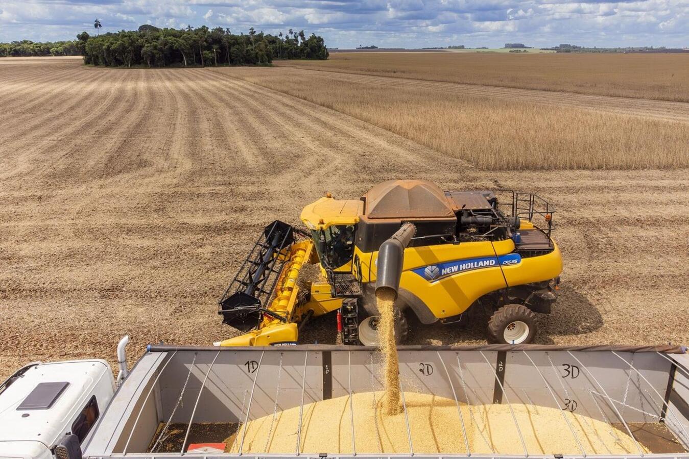 Dados divulgados nesta quarta (19) pela Seab apontam que Valor Bruto da Produção Agropecuária (VBP) do município em 2023 foi de R$ 4.592.013.664,21
