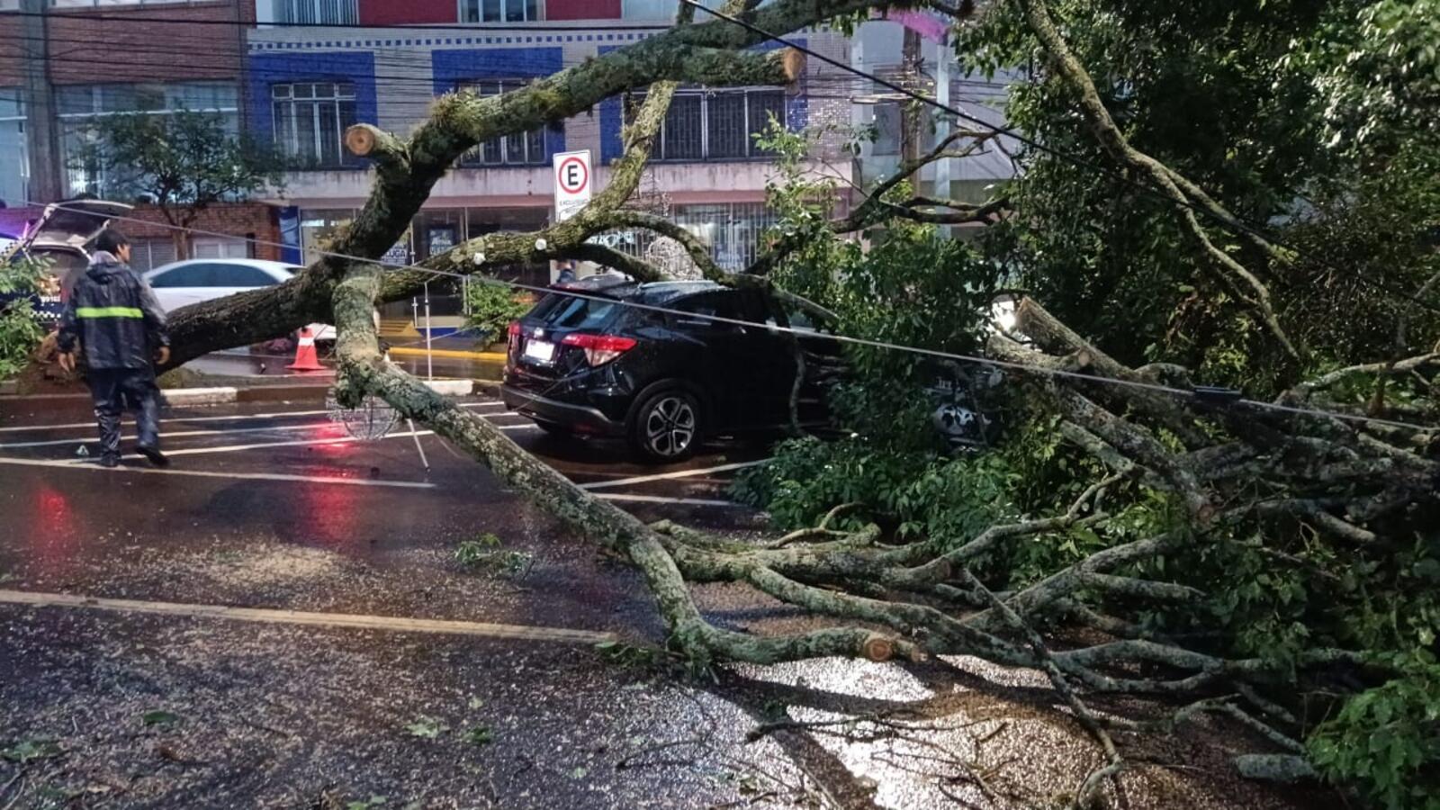 Equipes da Prefeitura de Toledo e da Defesa Civil estão desde a noite desta quinta-feira (28) trabalhando para conter os estragos em ruas, praças e prédios públicos