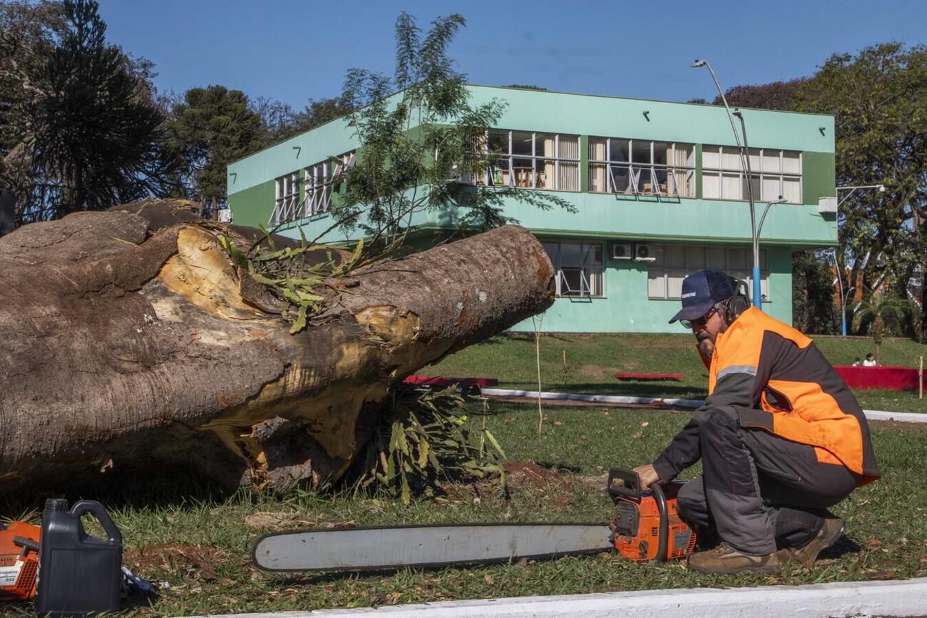 Habilidoso com o uso de motosserras, ele tinha 53 anos e foi responsável por transformar os troncos caídos na Praça da Cultura em verdadeiras obras de arte
