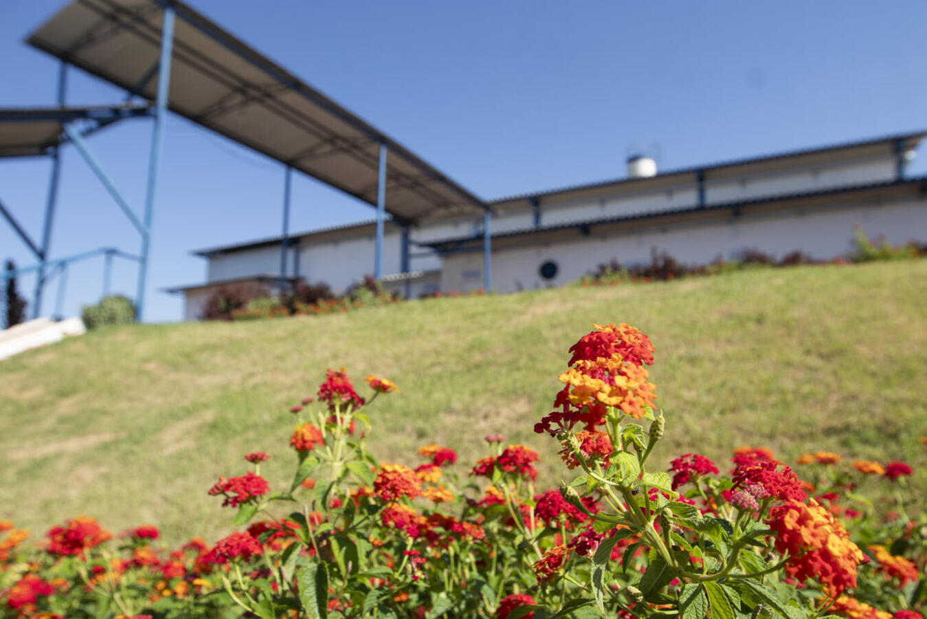 Com a certificação, a empresa poderá comercializar seus produtos em todo o território nacional