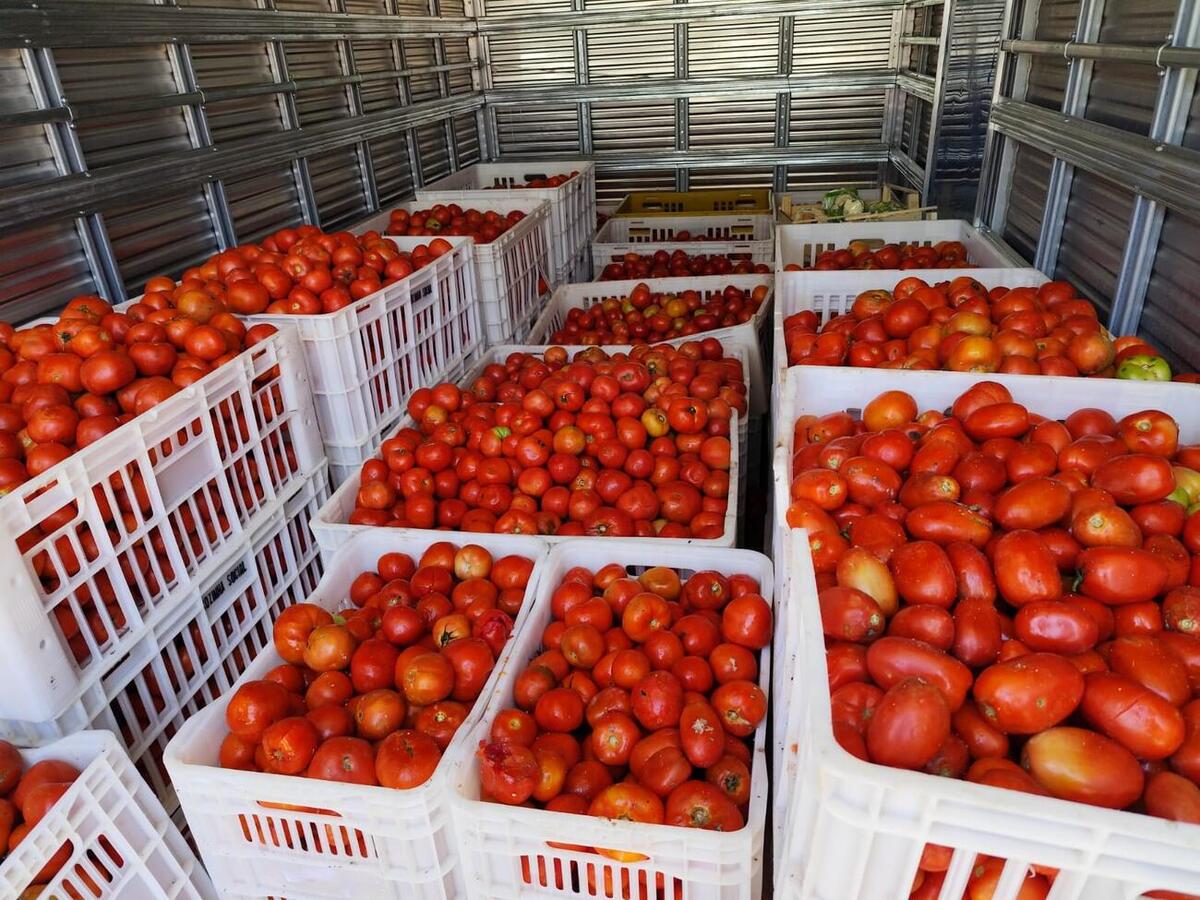O Banco de Alimentos do Ceasa de Cascavel doou mais de 3 toneladas que foram destinadas a entidades sócio assistenciais e à cozinha social de Toledo