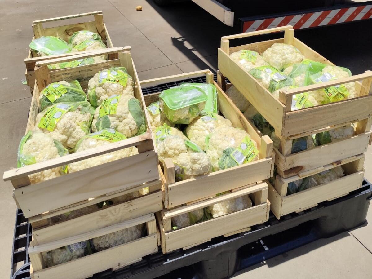 O Banco de Alimentos do Ceasa de Cascavel doou mais de 3 toneladas que foram destinadas a entidades sócio assistenciais e à cozinha social de Toledo