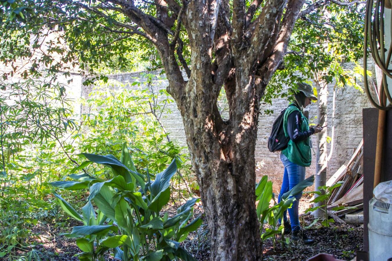 O resultado está acima do adequado, o que demanda atenção especial no controle da Dengue
