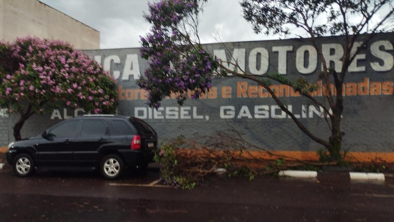 Chuva forte no final da tarde desta segunda-feira (10) derruba árvores e postes, deixando vários pontos sem energia e prejudicando o trânsito