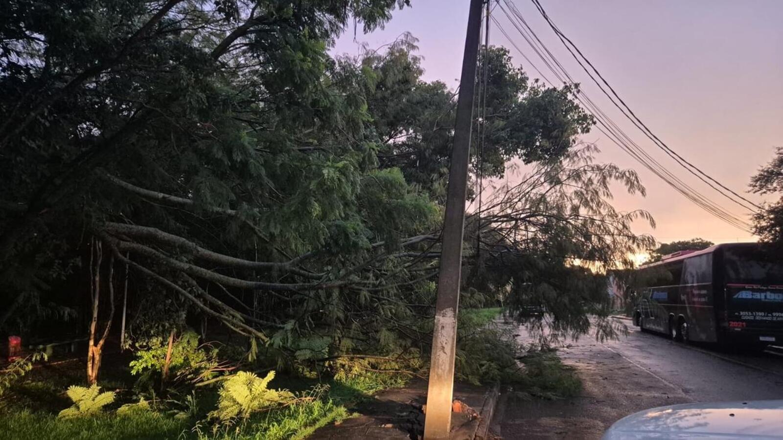 Chuva forte no final da tarde desta segunda-feira (10) derruba árvores e postes, deixando vários pontos sem energia e prejudicando o trânsito