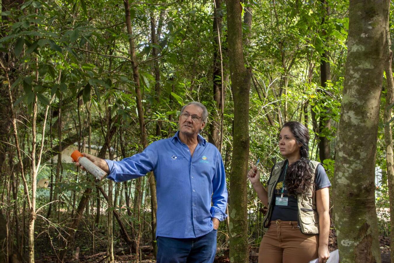 Após ação em parceria com o Instituto Água e Terra (IAT), serão removidas as espécies para recuperação da flora nativa
