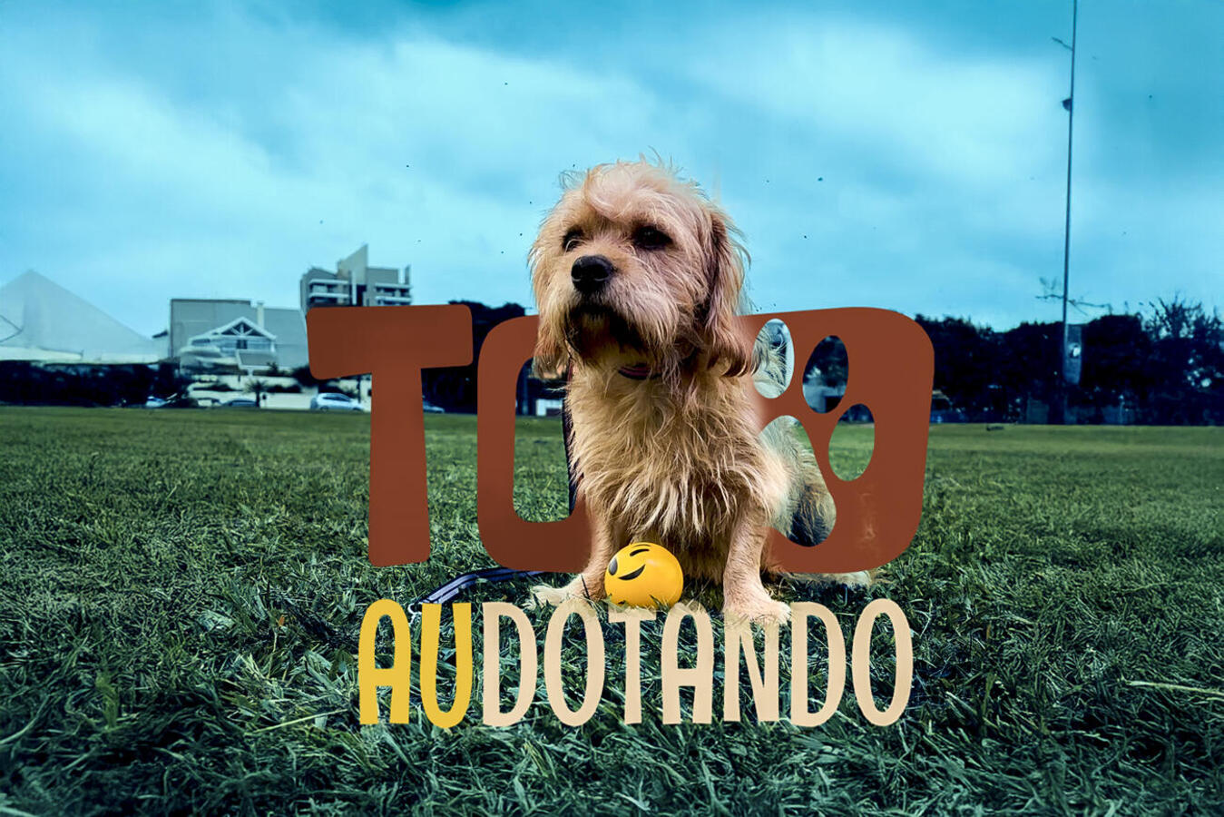 Neste domingo (4) será realizado um evento voltado a adoção responsável de animais resgatados ou abandonados