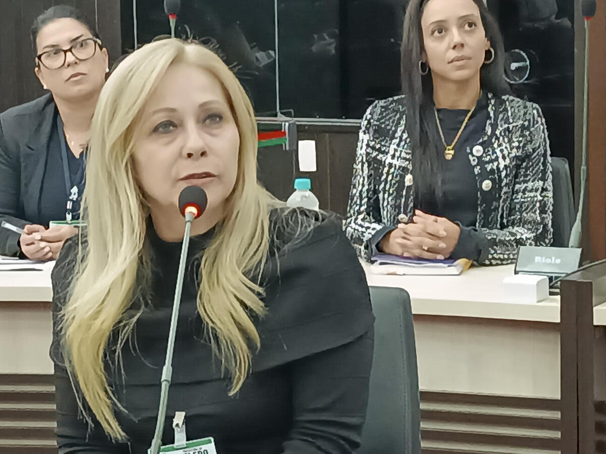 Prestação de contas da Secretaria Municipal de Saúde foi apresentada à Comissão de Saúde e Seguridade Social da Câmara de Vereadores nesta quarta-feira (28)