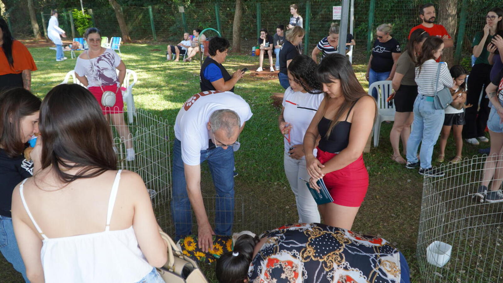 Ao todo, 50 animais foram colocados para adoção em evento no Parque Ecológico Diva Paim Barth, promovido pela Secretaria do Meio Ambiente
