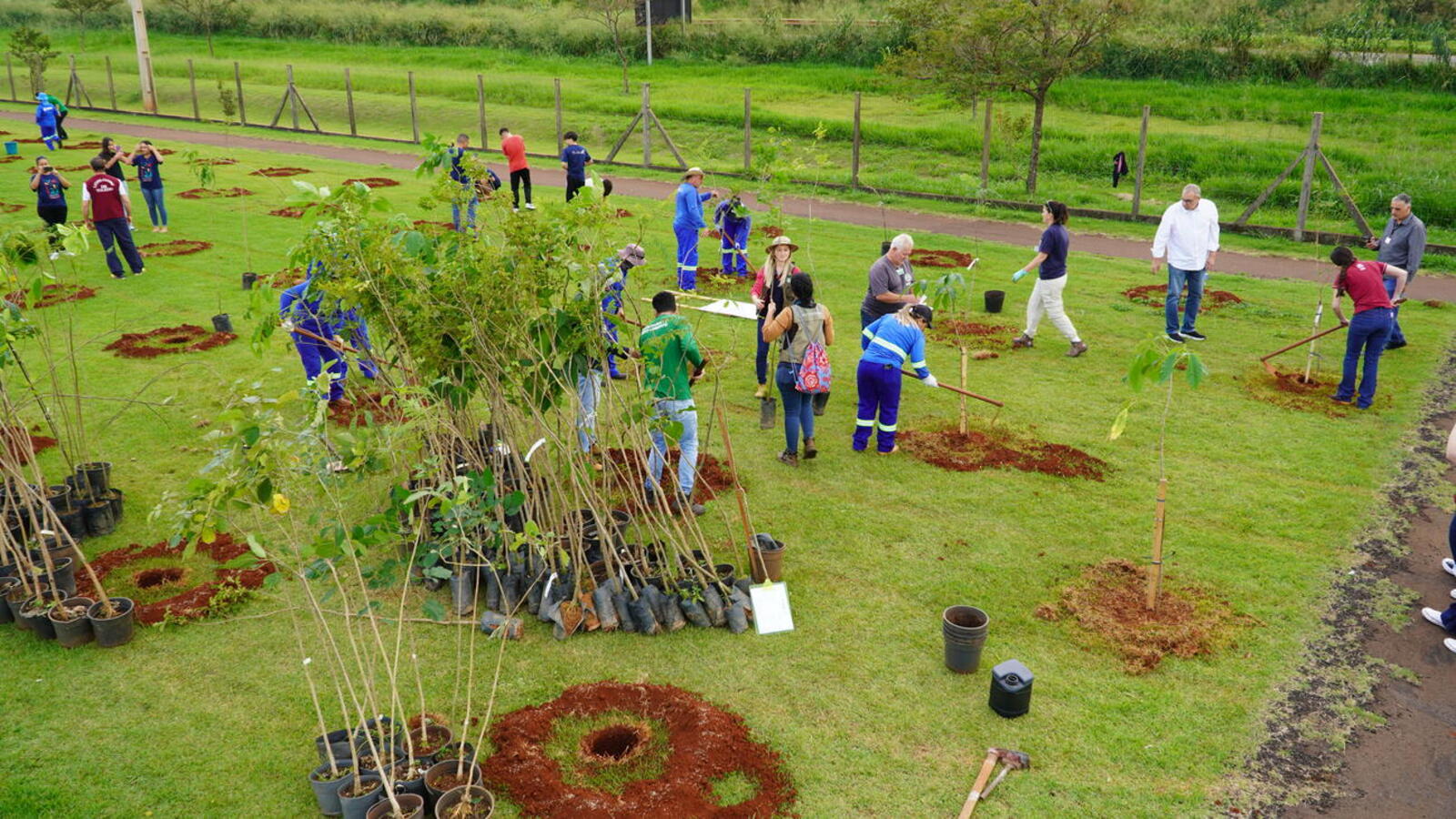 Cerca de 250 unidades de sete espécies foram plantadas na manhã desta segunda-feira (5) em mobilização que envolveu órgãos públicos e entidades