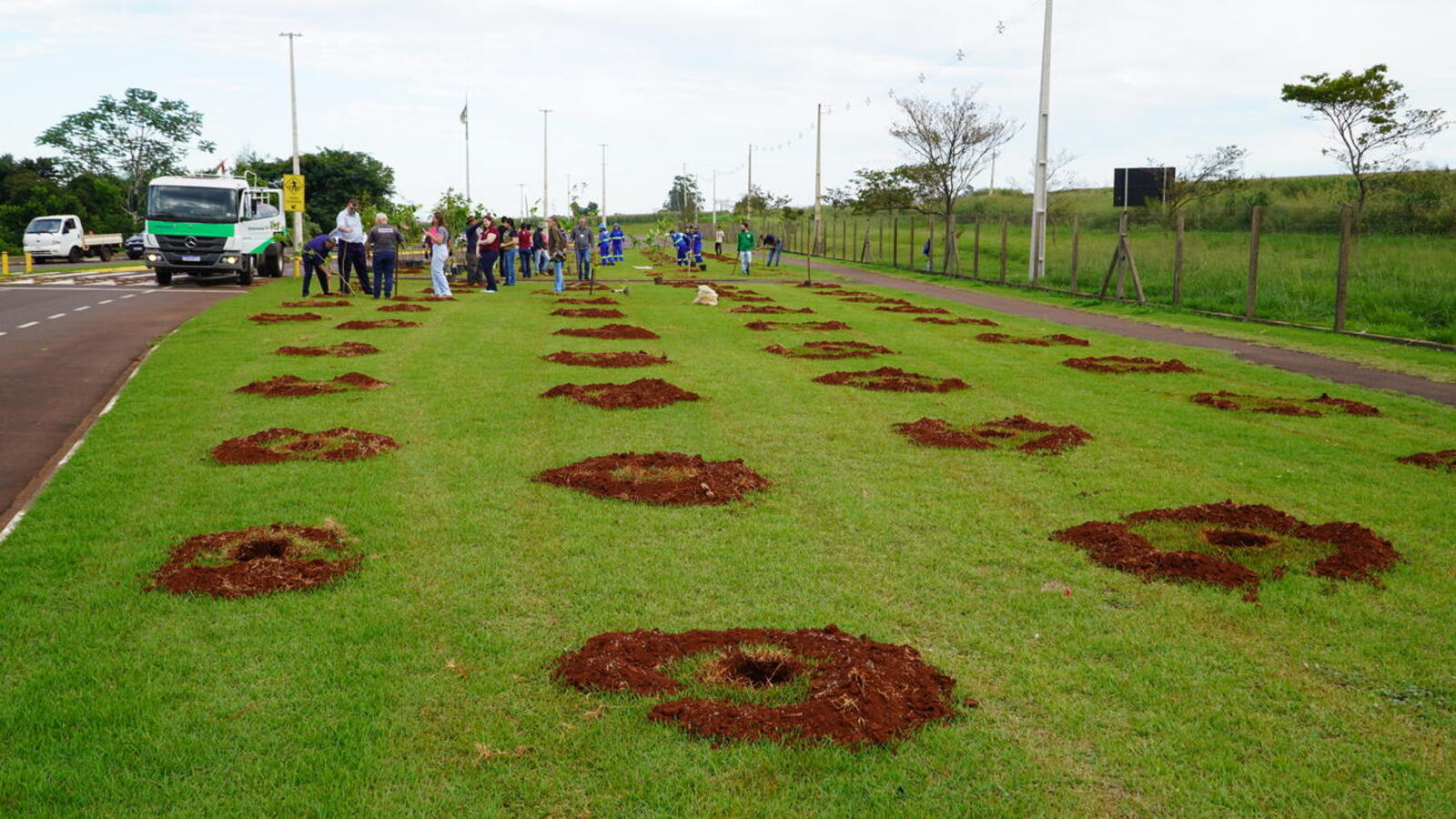 Cerca de 250 unidades de sete espécies foram plantadas na manhã desta segunda-feira (5) em mobilização que envolveu órgãos públicos e entidades