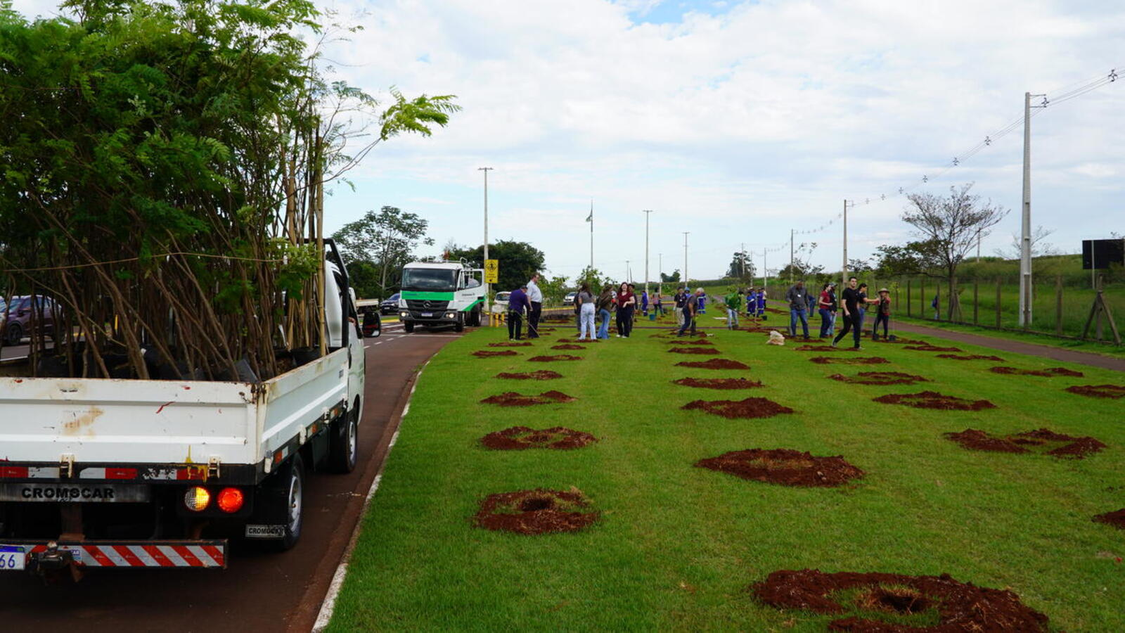 Cerca de 250 unidades de sete espécies foram plantadas na manhã desta segunda-feira (5) em mobilização que envolveu órgãos públicos e entidades