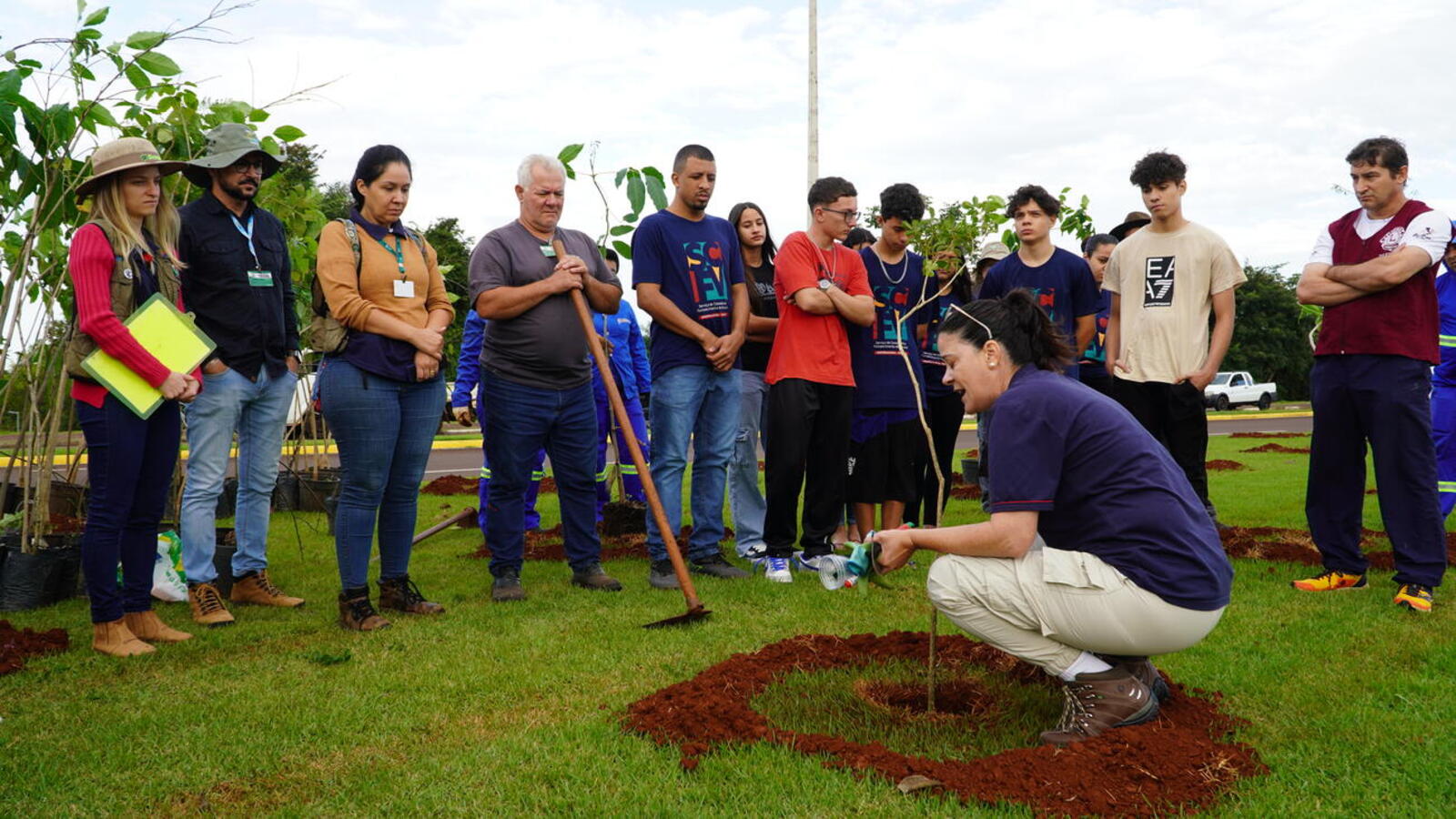 Cerca de 250 unidades de sete espécies foram plantadas na manhã desta segunda-feira (5) em mobilização que envolveu órgãos públicos e entidades