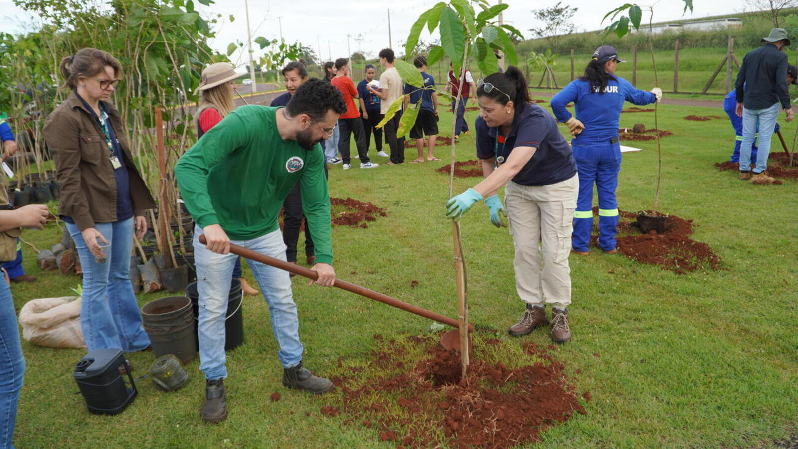 Cerca de 250 unidades de sete espécies foram plantadas na manhã desta segunda-feira (5) em mobilização que envolveu órgãos públicos e entidades