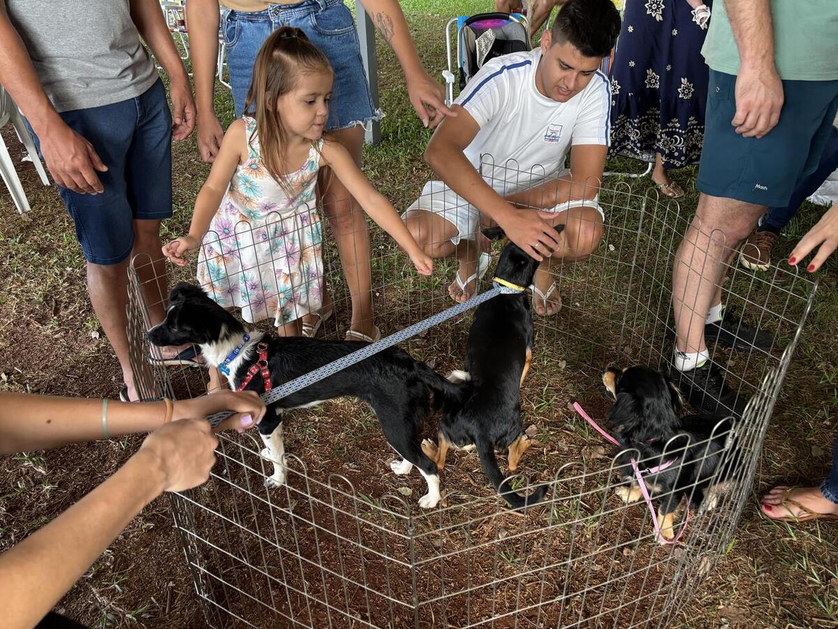 Ao todo, 50 animais foram colocados para adoção em evento no Parque Ecológico Diva Paim Barth, promovido pela Secretaria do Meio Ambiente