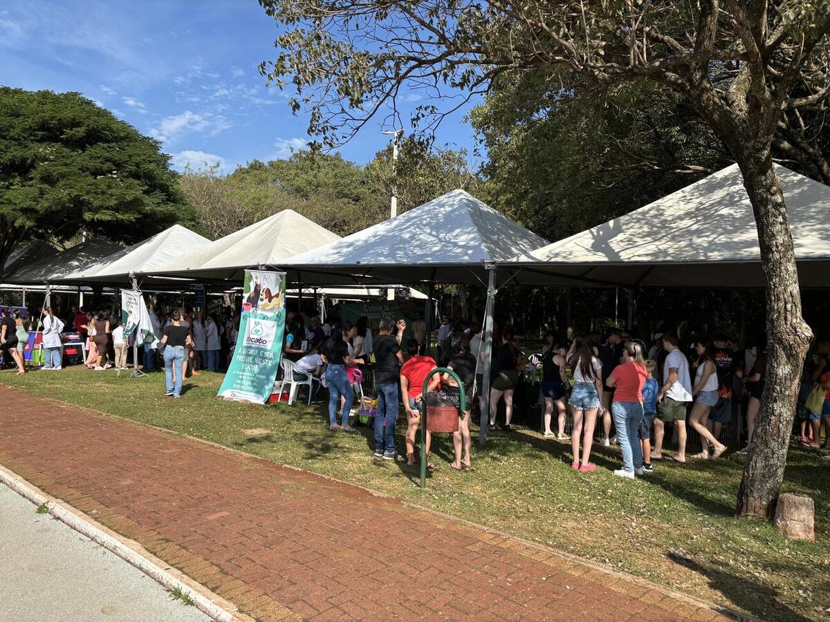 Ao todo, 50 animais foram colocados para adoção em evento no Parque Ecológico Diva Paim Barth, promovido pela Secretaria do Meio Ambiente