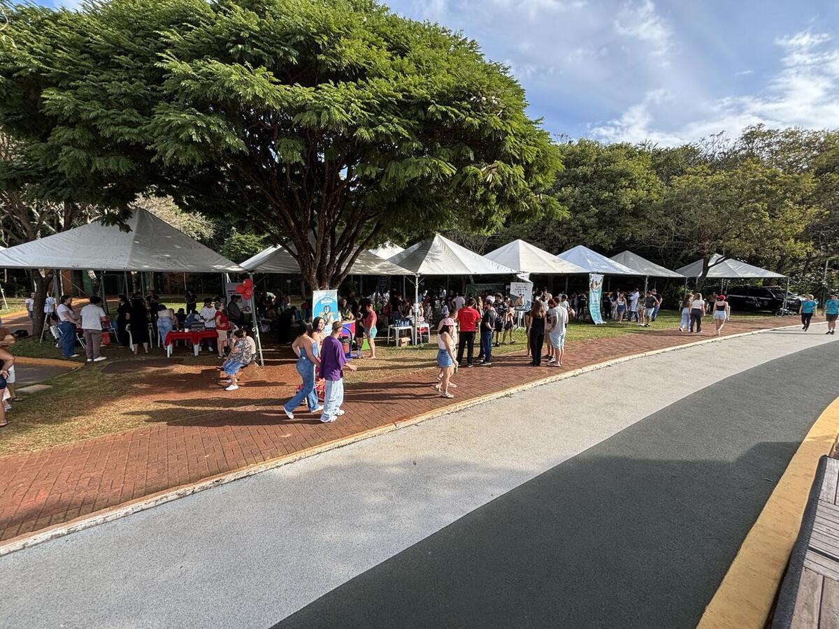 Ao todo, 50 animais foram colocados para adoção em evento no Parque Ecológico Diva Paim Barth, promovido pela Secretaria do Meio Ambiente