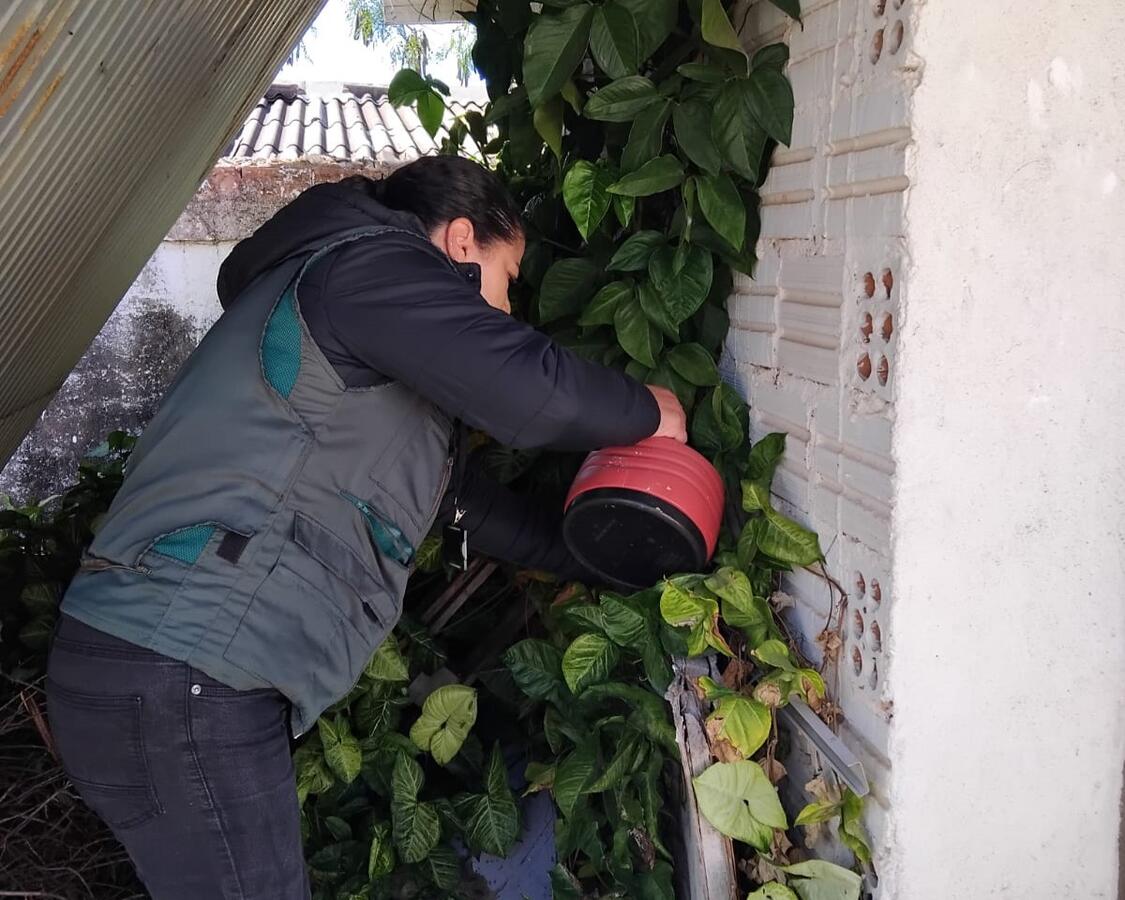 Desde o dia 11 de agosto a Secretaria da Saúde vem instalando armadilhas de monitoramento para o Aedes Aegypti nas regiões que apresentam o maior número de notificações de casos de dengue