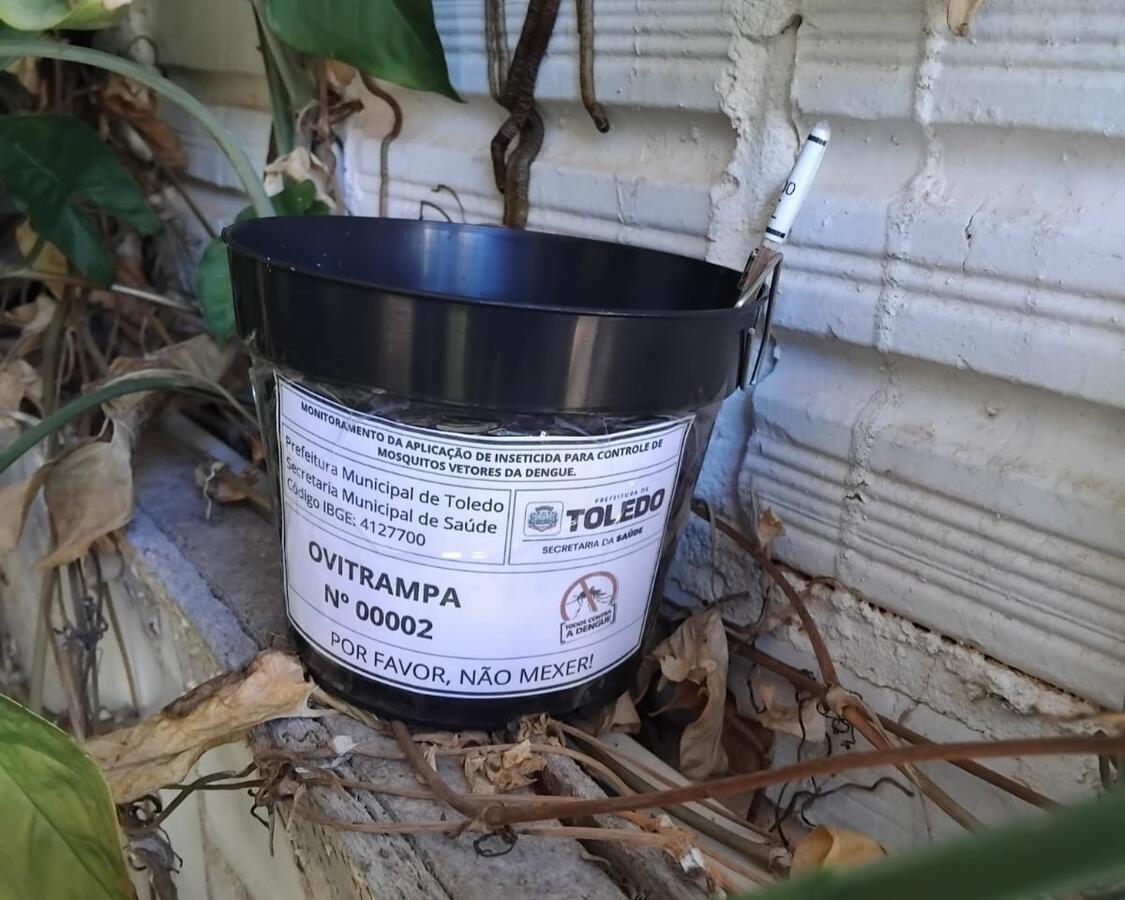 Desde o dia 11 de agosto a Secretaria da Saúde vem instalando armadilhas de monitoramento para o Aedes Aegypti nas regiões que apresentam o maior número de notificações de casos de dengue