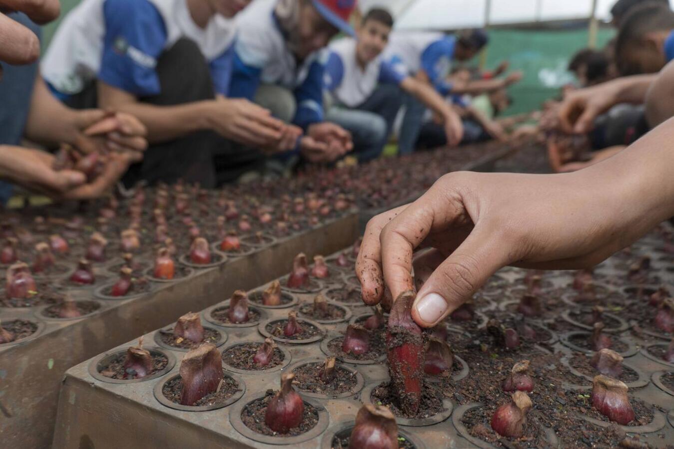 O Programa Florir Toledo está há mais de 18 anos transformando vidas de adolescentes em situação de vulnerabilidade social e contam com 13 vagas disponíveis para a participação