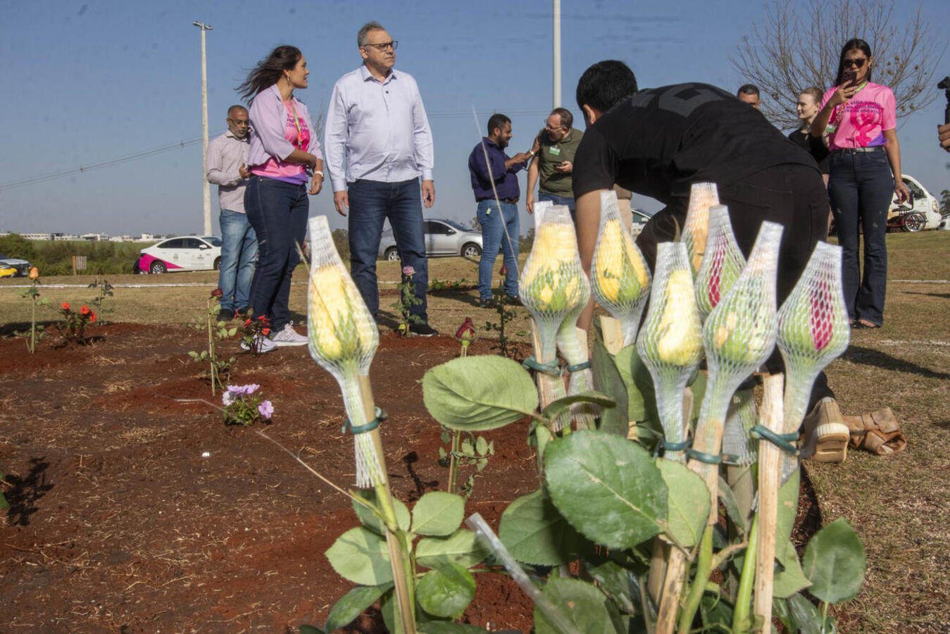 Nesta sexta-feira (22) a Secretaria da Mulher realizou a plantação de diversas mudas de árvores e flores em homenagem à mulheres vítimas de violência