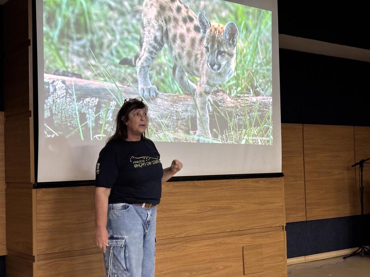 Capacitação teve como objetivo preparar profissionais e interessados para lidar com ocorrências envolvendo felinos silvestres