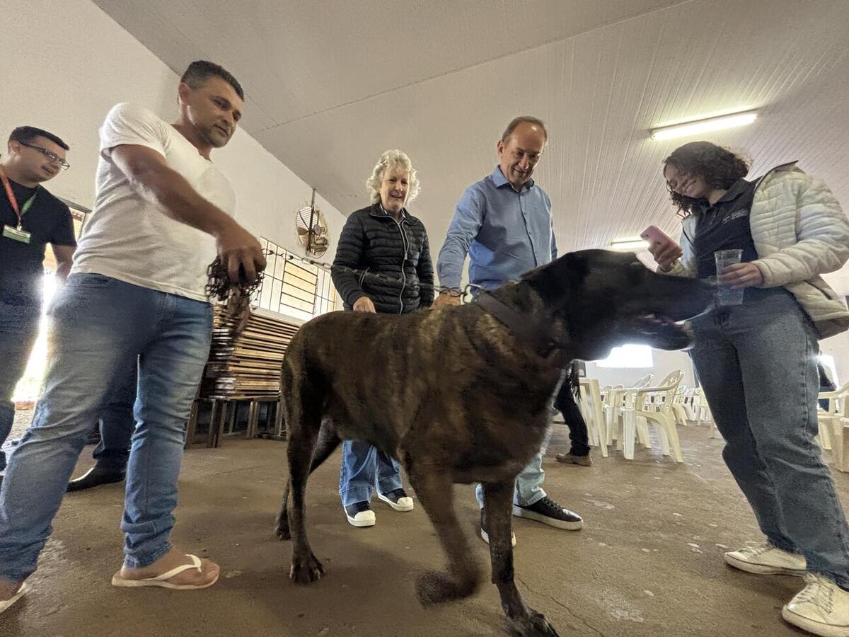Na manhã desta quinta-feira (30) o distrito de Ouro Preto recebeu a ação comunitária “Cras VI em Ação”