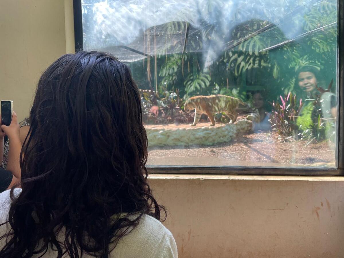 Atividade, realizada na tarde desta quarta-feira (15), integra programação alusiva ao Dia da Criança do Centro de Atendimento Psicossocial Infantil de Toledo