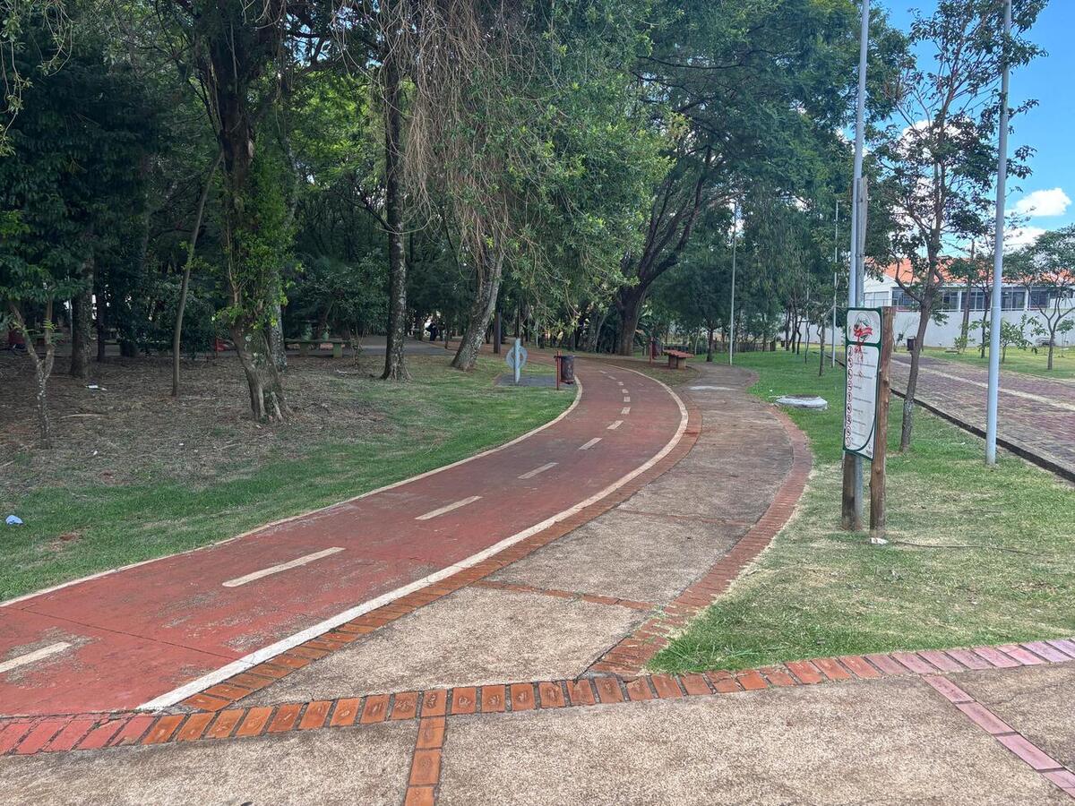 Evento contará com trilha guiada, oficina de cerâmica, pinturas de boca de lobo, limpeza das margens e plantio de mudas ao longo do arroio