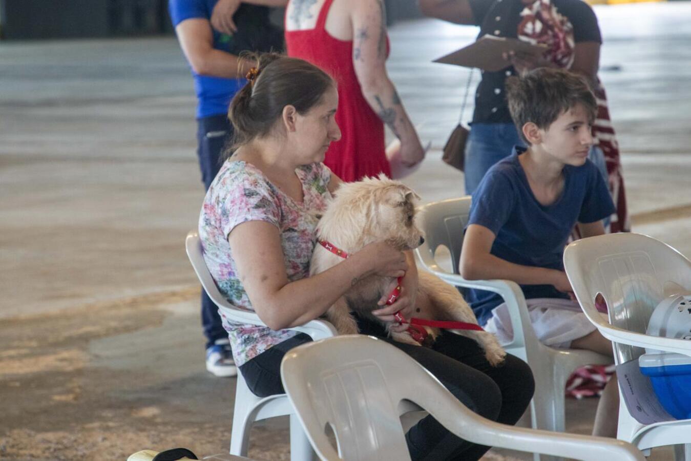 Mais de 280 animais (a maioria de protetoras cadastradas) serão atendidos entre quinta e sexta (27 e 28) por projeto da Sedest, que conta com o apoio da SMMA