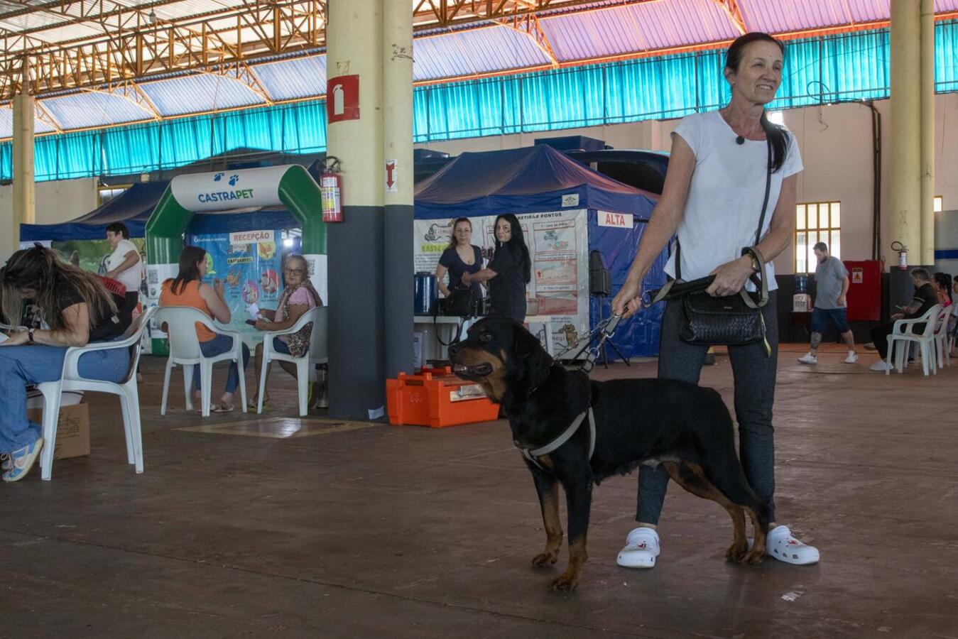 Mais de 280 animais (a maioria de protetoras cadastradas) serão atendidos entre quinta e sexta (27 e 28) por projeto da Sedest, que conta com o apoio da SMMA