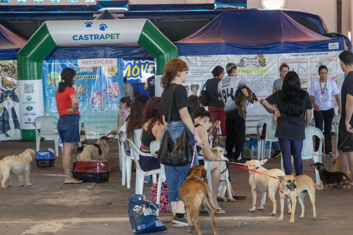 Mais de 280 animais (a maioria de protetoras cadastradas) serão atendidos entre quinta e sexta (27 e 28) por projeto da Sedest, que conta com o apoio da SMMA