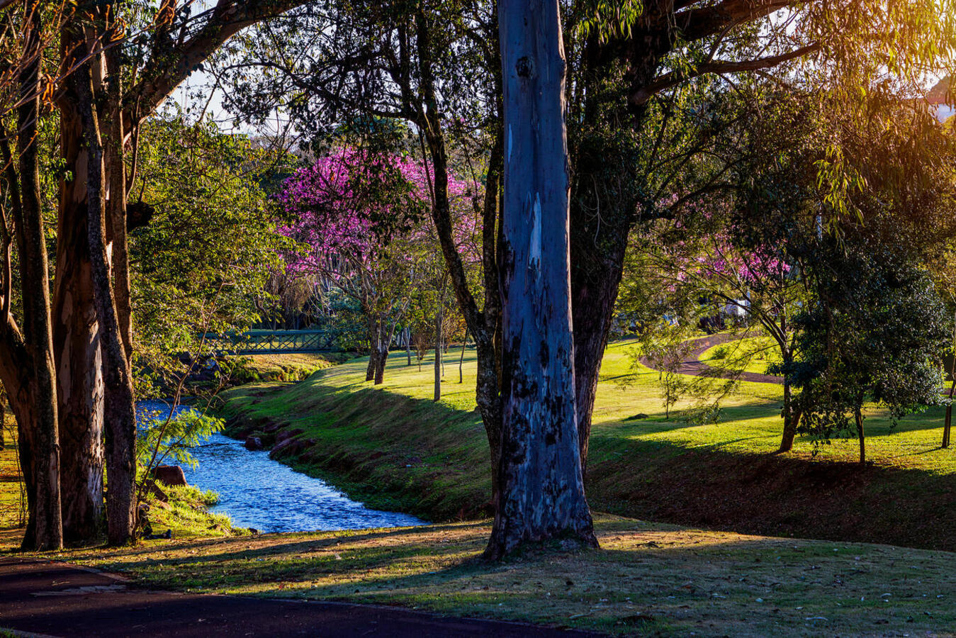 Prefeitura abre enquete no Instagram para definir o local onde será instalado o terceiro letreiro turístico, entre oito pontos da cidade, previsto para janeiro de 2026