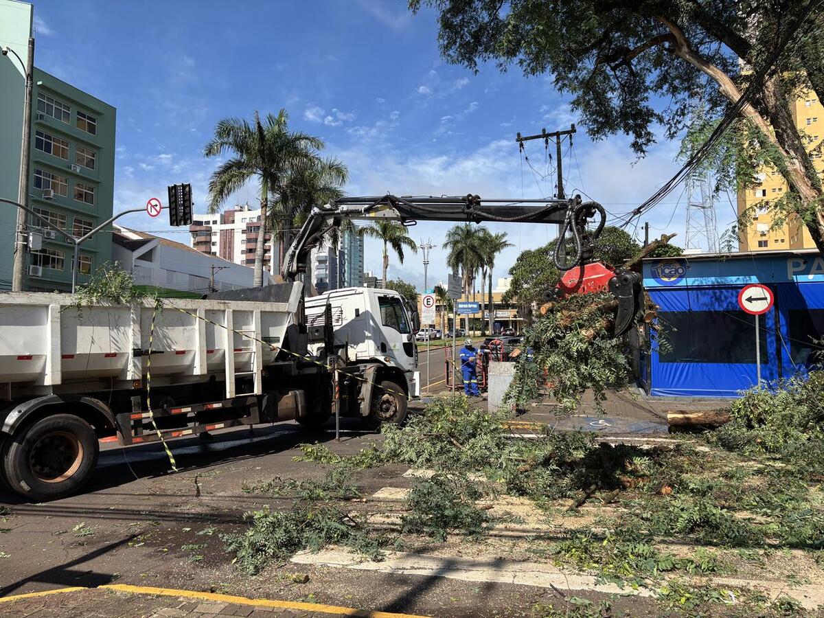 Trabalho ocorreu na manhã de terça (2), após isolamento da área, em trabalho conjunto da Defesa Civil, da Guarda Municipal e das secretarias de Infraestrutura Rural e Urbana e do Meio Ambiente