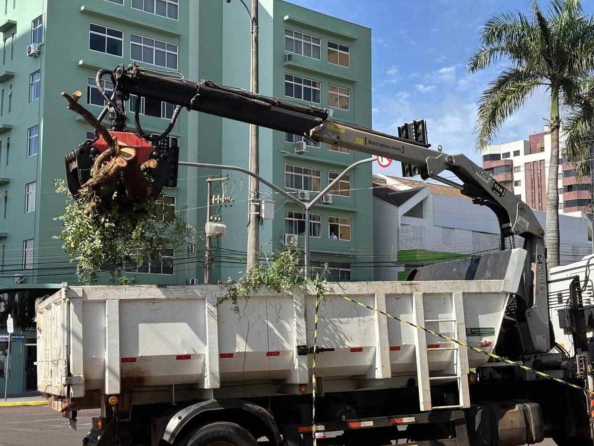 Trabalho ocorreu na manhã de terça (2), após isolamento da área, em trabalho conjunto da Defesa Civil, da Guarda Municipal e das secretarias de Infraestrutura Rural e Urbana e do Meio Ambiente
