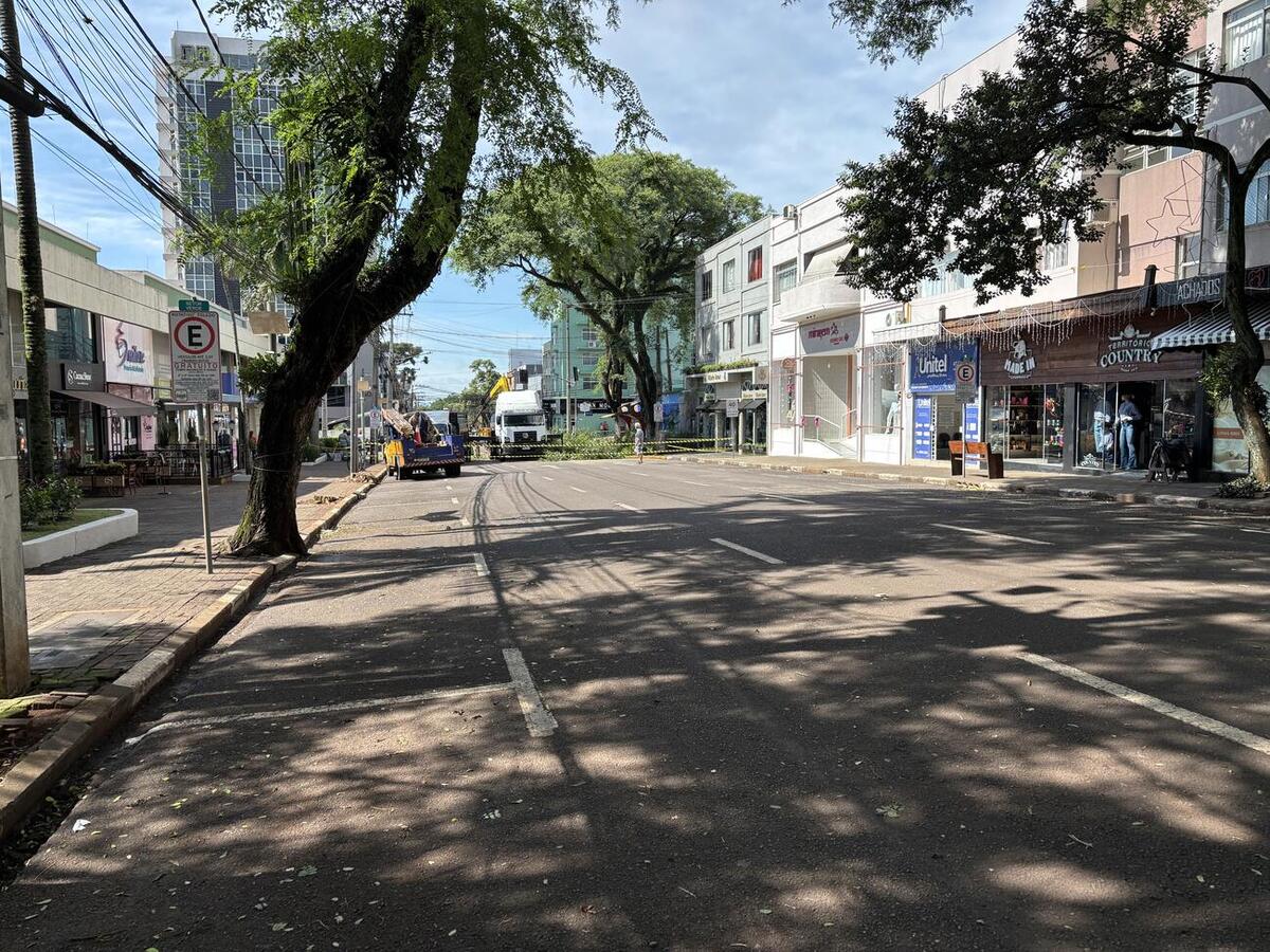 Trabalho ocorreu na manhã de terça (2), após isolamento da área, em trabalho conjunto da Defesa Civil, da Guarda Municipal e das secretarias de Infraestrutura Rural e Urbana e do Meio Ambiente