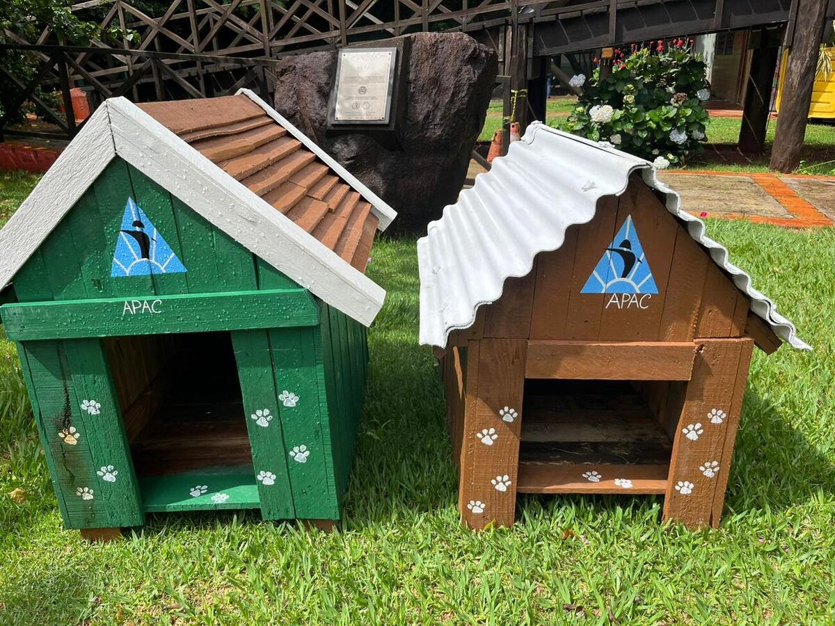 Iniciativa produz abrigos para cães acolhidos por populares e protetoras credenciadas